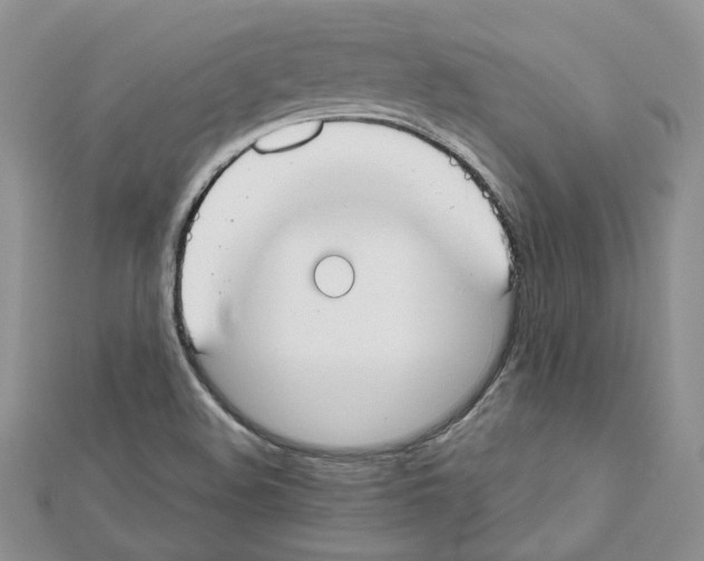 X0000111611508200908281039