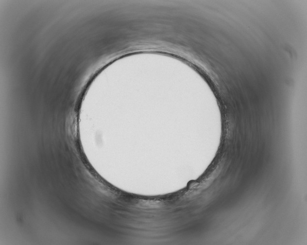 X0000111611509200908281039