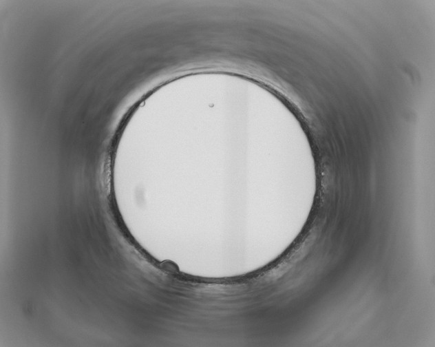 X0000111611510200908281039