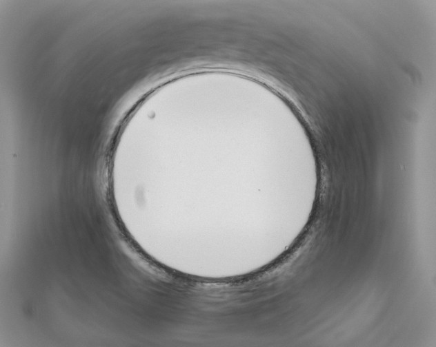 X0000111611511200908281039