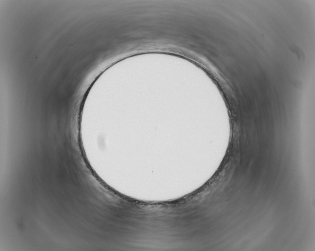 X0000111611512200908281039
