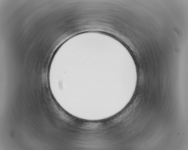 X0000111611513200908281039