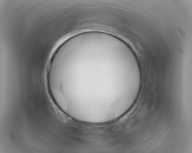 X0000111611514200908281039