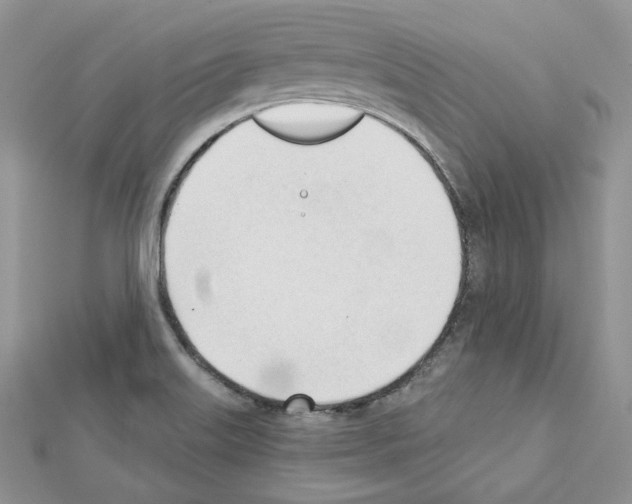 X0000111611515200908281039