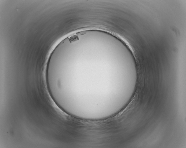 X0000111611516200908281039