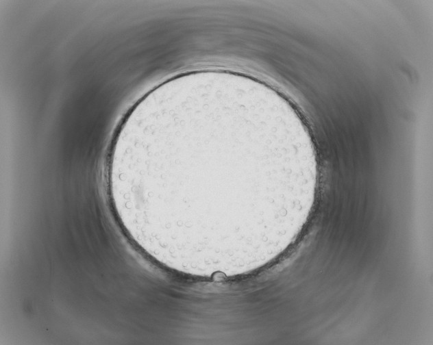 X0000111611517200908281039