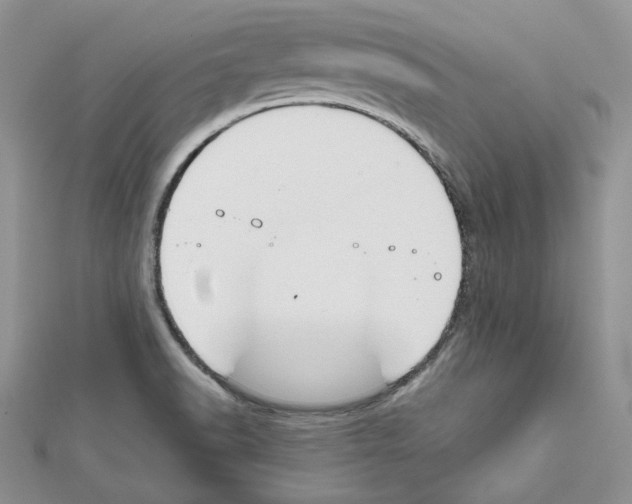 X0000111611518200908281039
