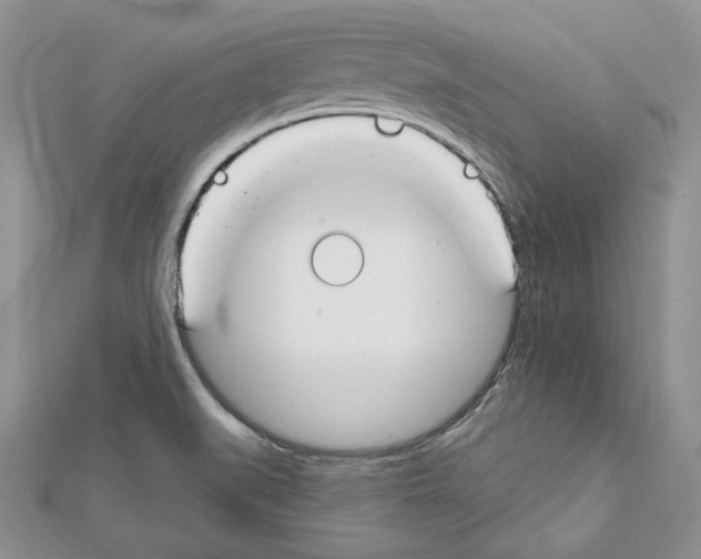 X0000111611519200908281039