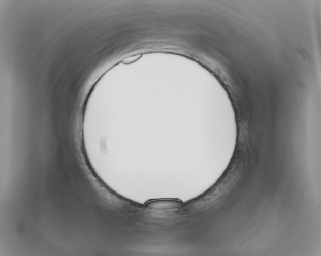 X0000111611520200908281039