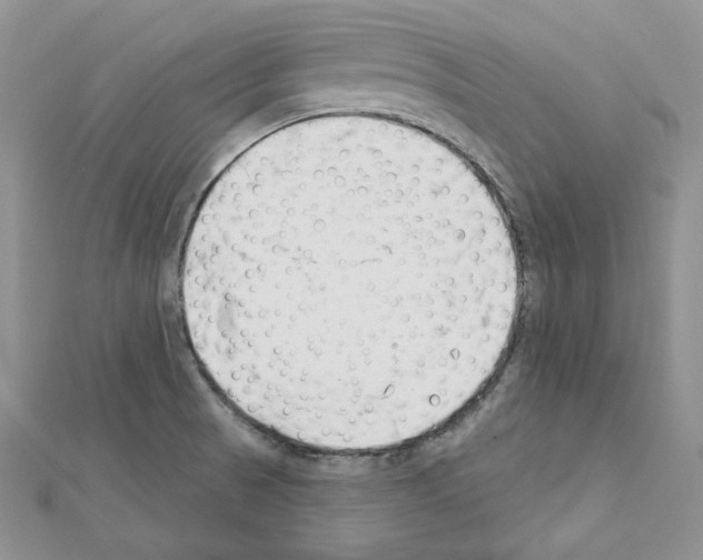 X0000111611521200908281040