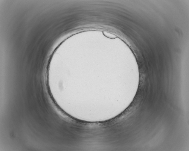 X0000111611523200908281040