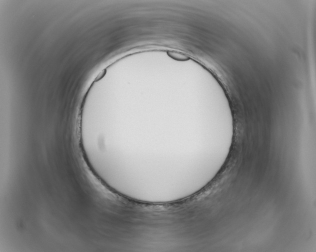 X0000111611524200908281040