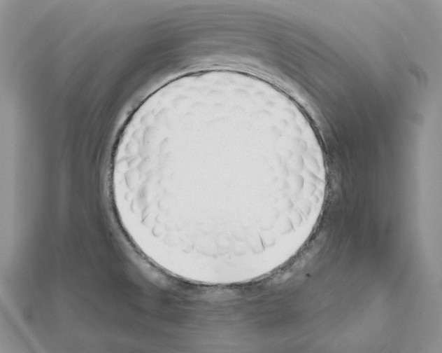 X0000111611525200908281040