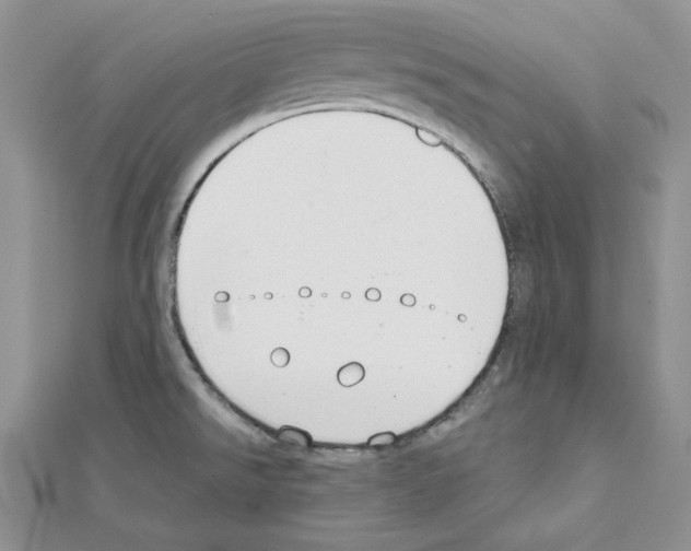X0000111611526200908281040