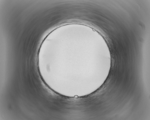 X0000111611527200908281040