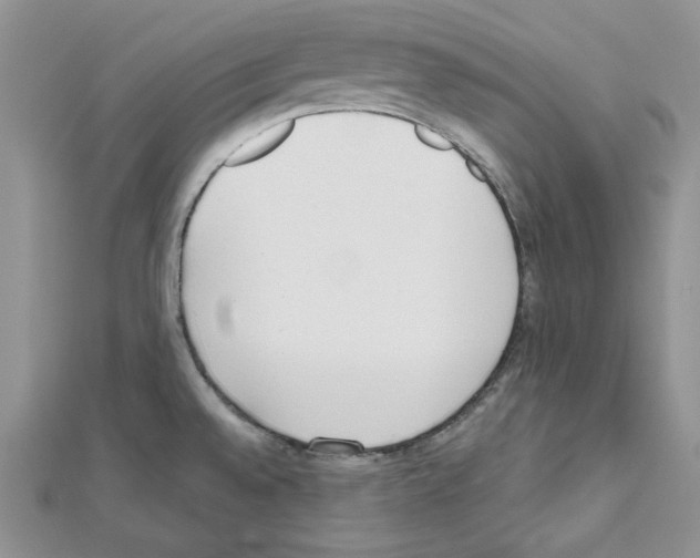 X0000111611528200908281040
