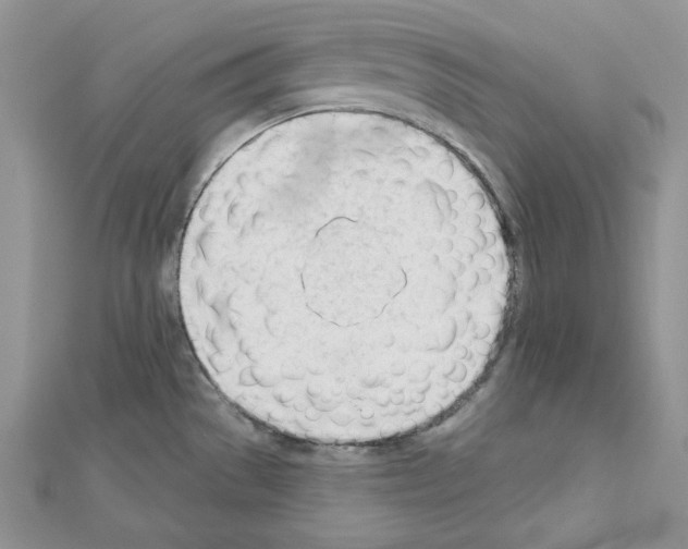 X0000111611529200908281040