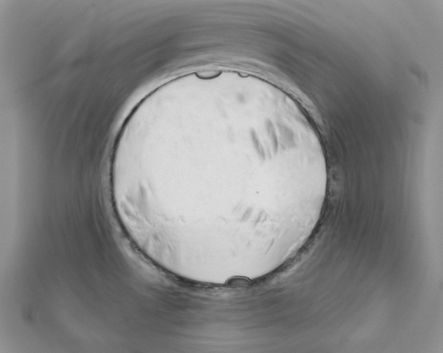 X0000111611530200908281040
