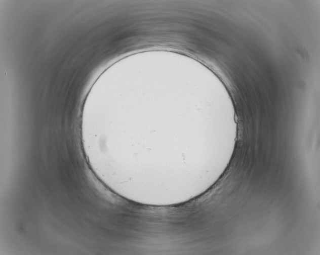 X0000111611532200908281040