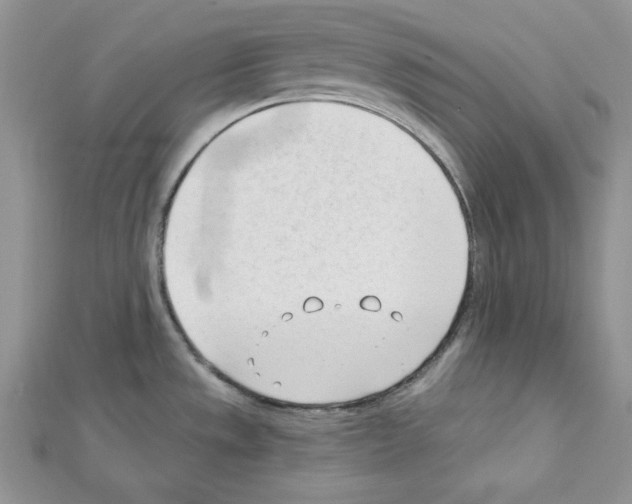 X0000111611533200908281040