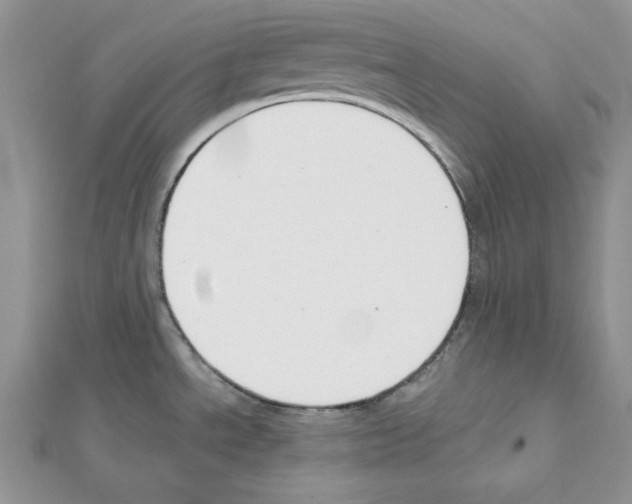 X0000111611534200908281040