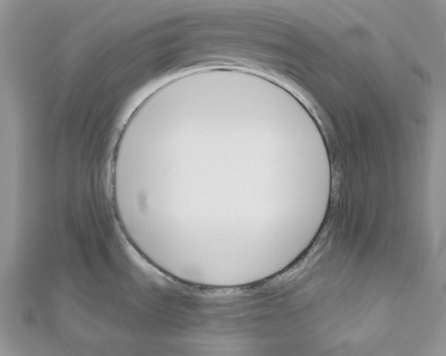 X0000111611535200908281040