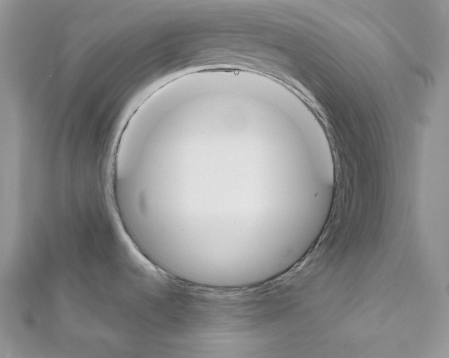 X0000111611536200908281040