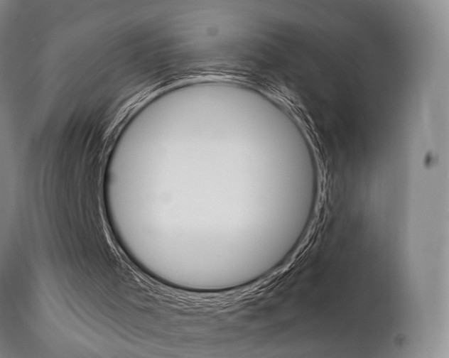 X0000111620001200907171116