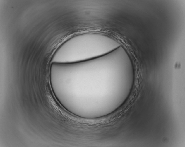 X0000111620002200907171116