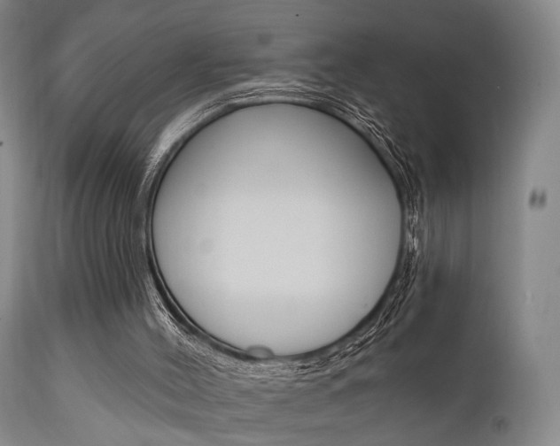 X0000111620004200907171116
