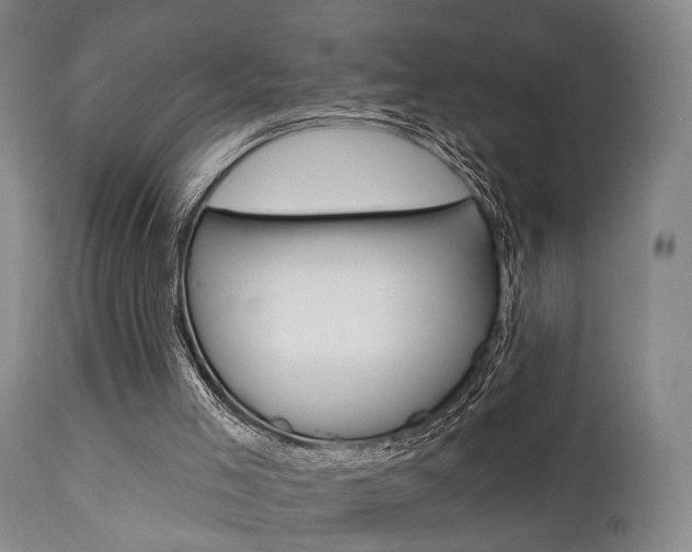 X0000111620005200907171116