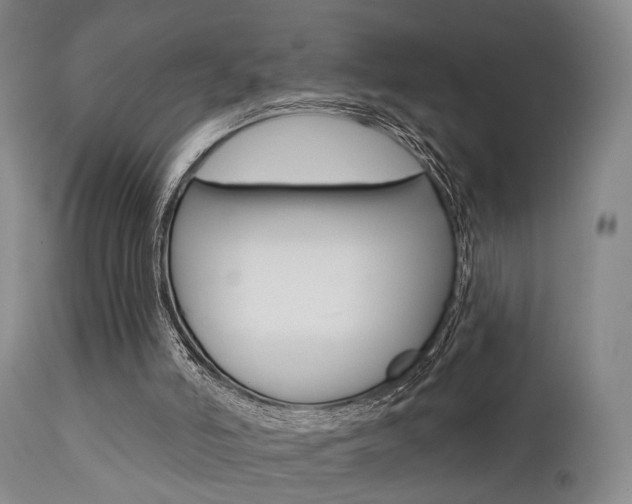 X0000111620006200907171116