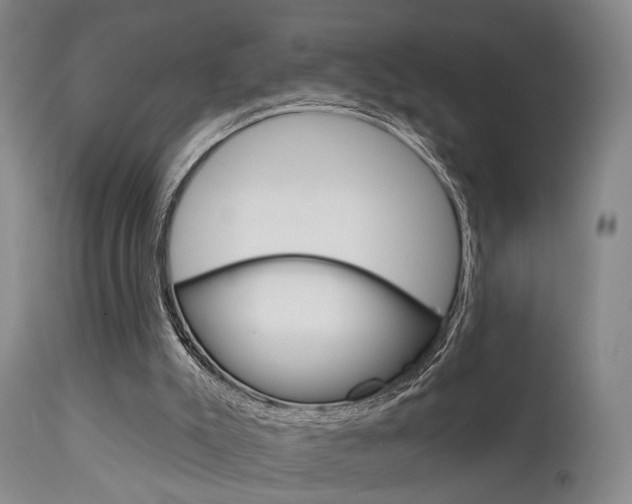 X0000111620007200907171116