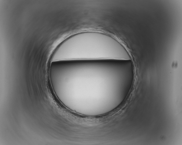 X0000111620008200907171116