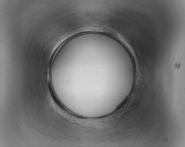X0000111620011200907171116