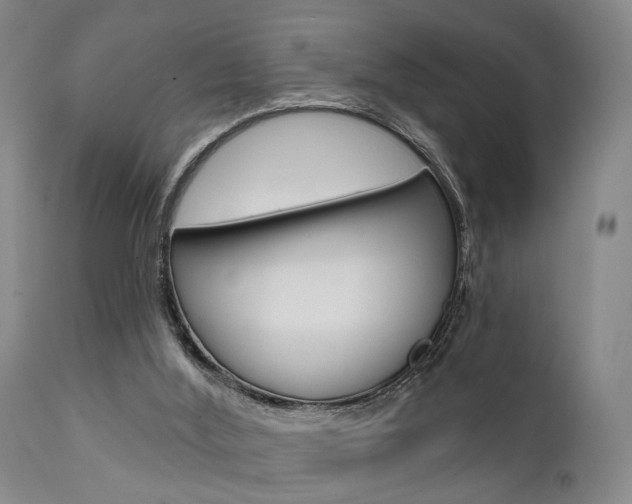 X0000111620012200907171116