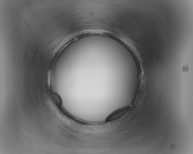 X0000111620013200907171116