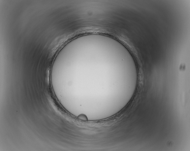 X0000111620014200907171116