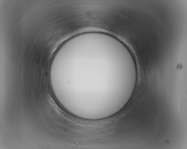 X0000111620015200907171116