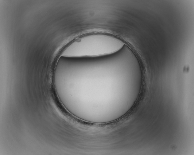 X0000111620016200907171116
