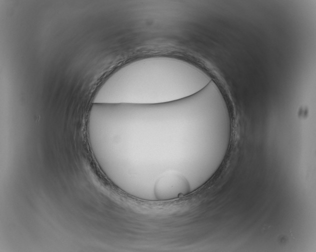 X0000111620018200907171116
