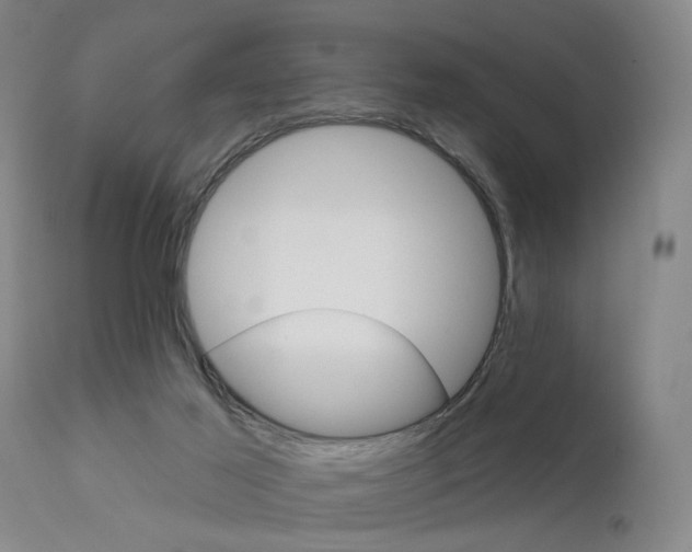 X0000111620021200907171115