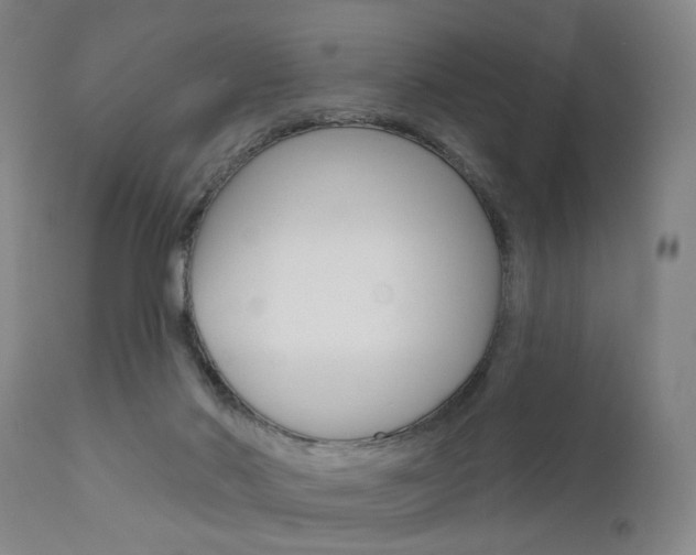 X0000111620022200907171115