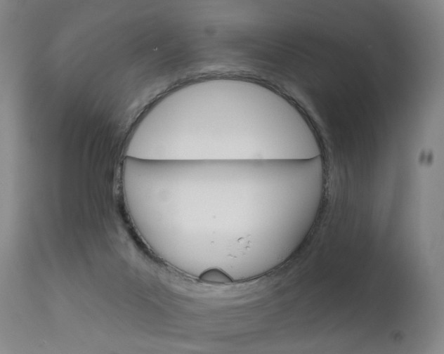 X0000111620023200907171115