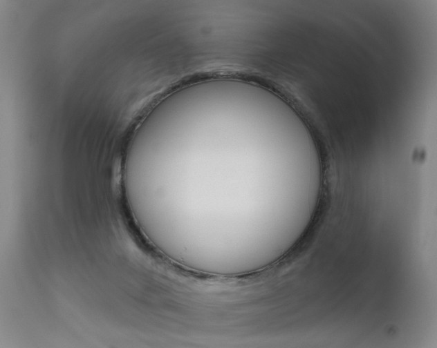 X0000111620024200907171115