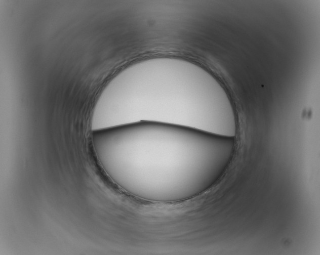 X0000111620025200907171115