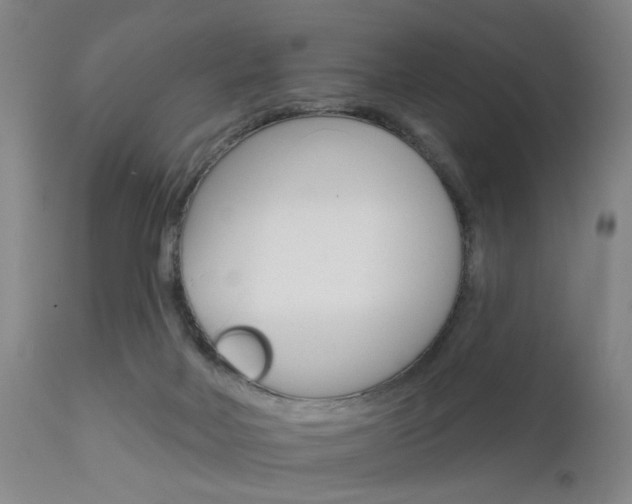 X0000111620026200907171115