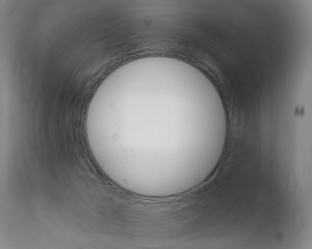 X0000111620029200907171115