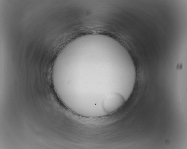 X0000111620030200907171115