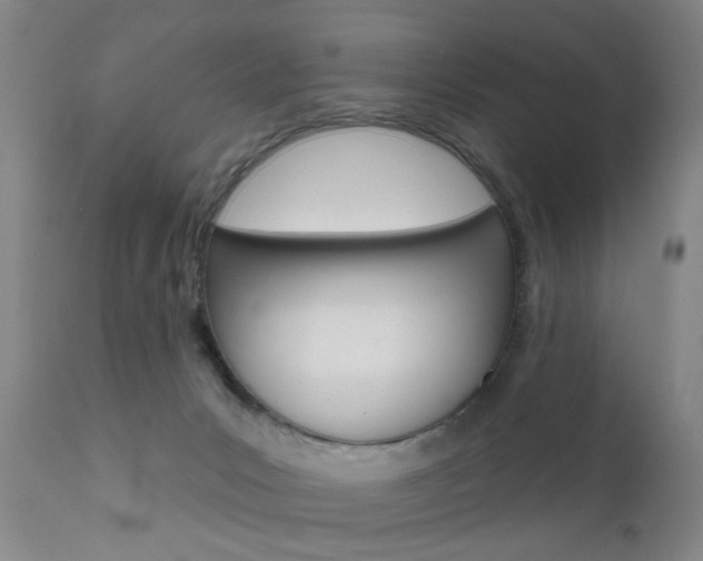 X0000111620031200907171115